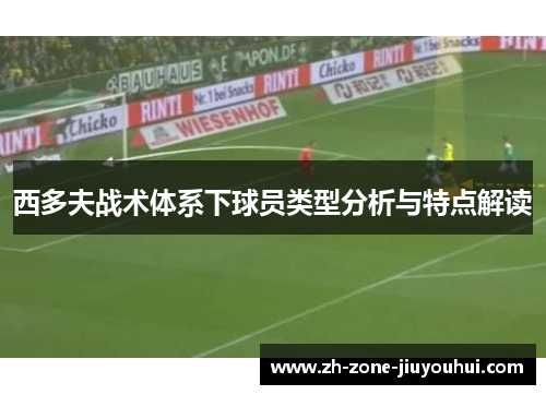 西多夫战术体系下球员类型分析与特点解读