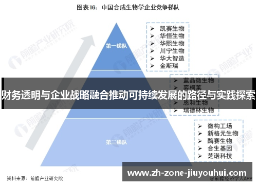 财务透明与企业战略融合推动可持续发展的路径与实践探索